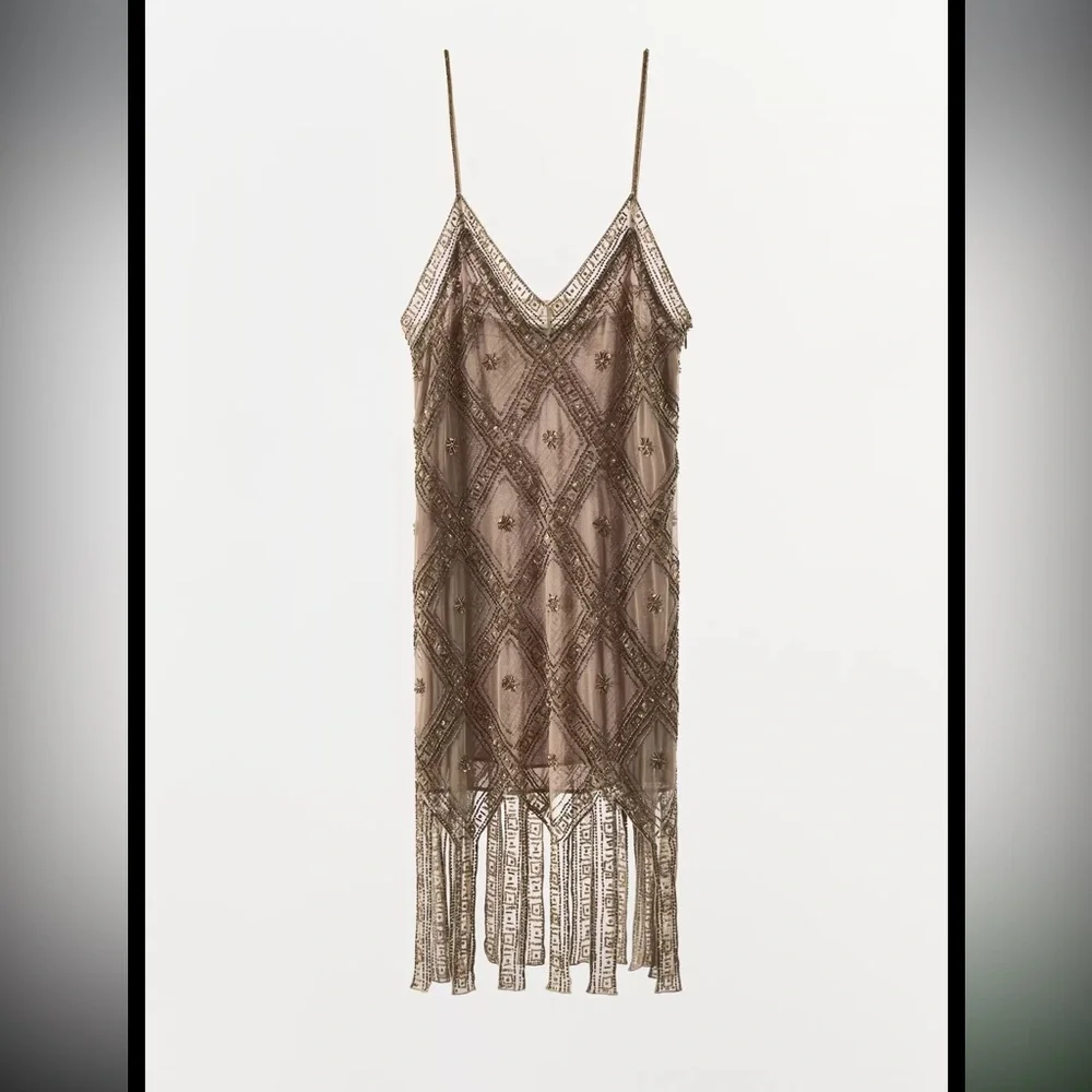 Zara limited edition EMBROIDERED TULLE Mini DRESS - Picture 13 of 15